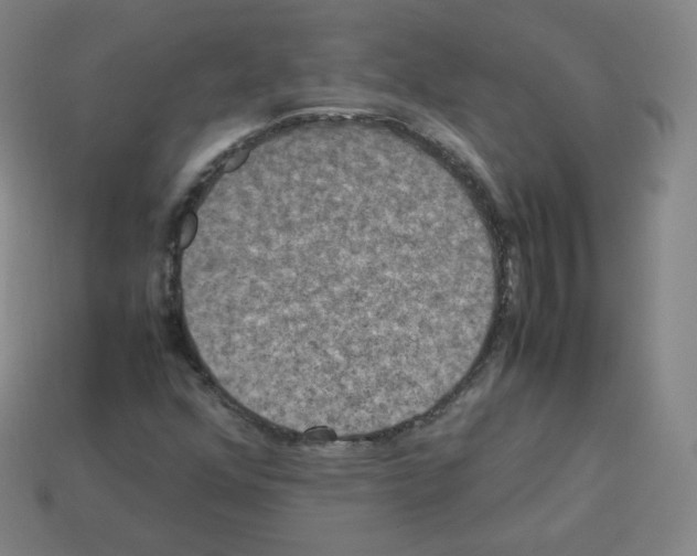 X0000112851352200910021243