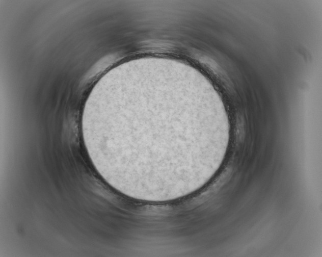 X0000112851354200910021243