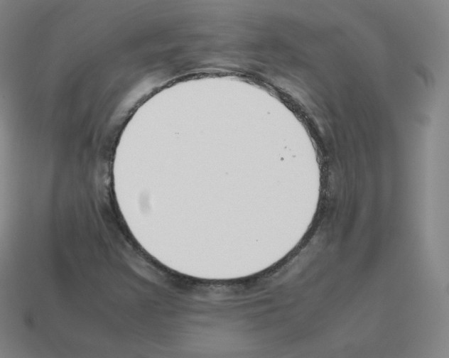 X0000112851355200910021243