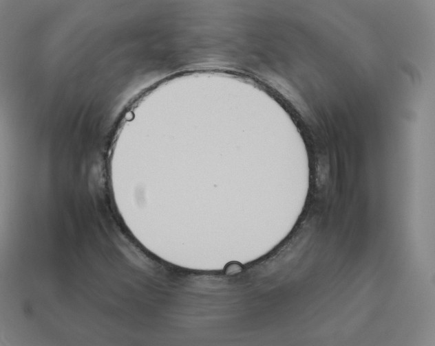 X0000112851356200910021243