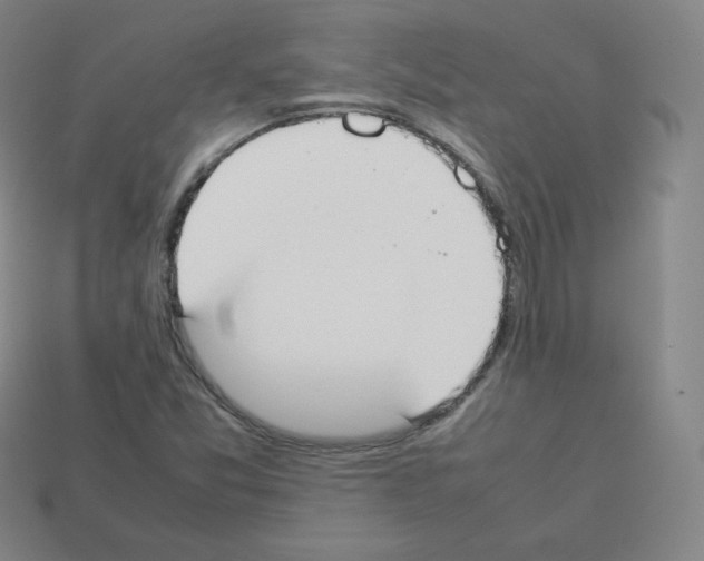 X0000112851357200910021243