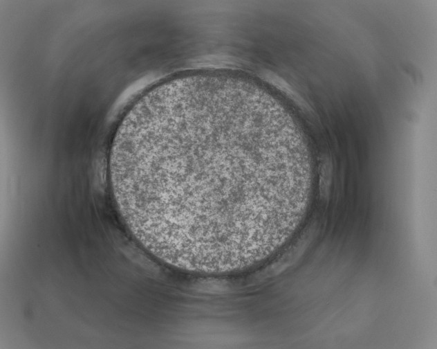 X0000112851358200910021243