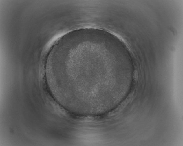 X0000112851359200910021243