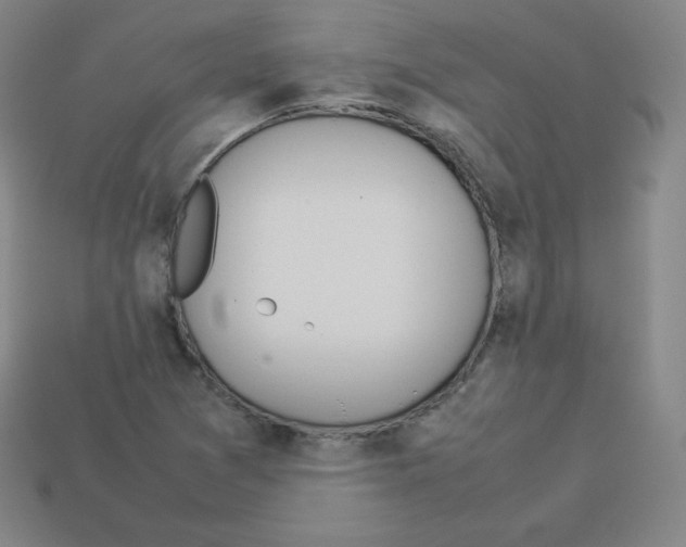 X0000112851361200910021243