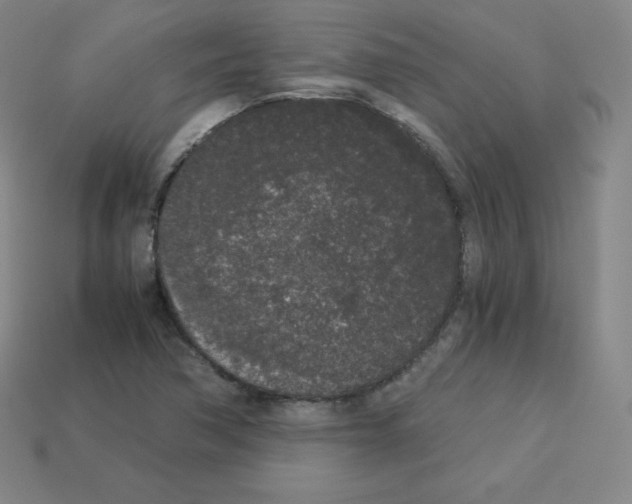 X0000112851362200910021243