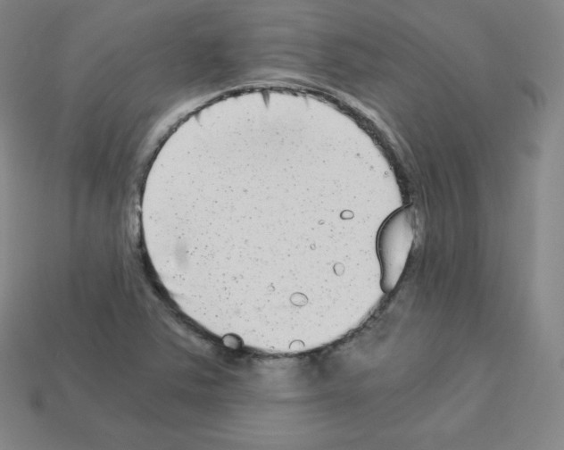 X0000112851363200910021243