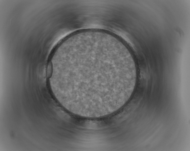 X0000112851364200910021243