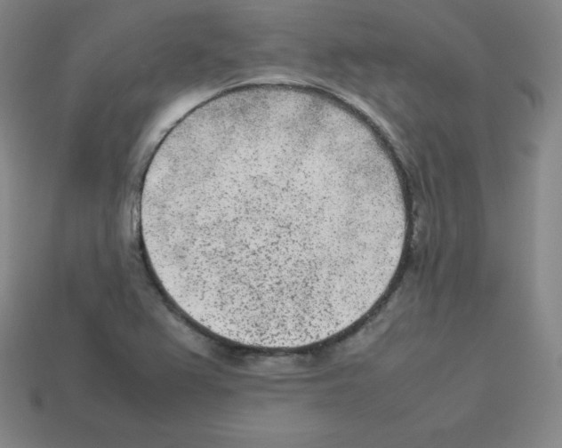 X0000112851367200910021243