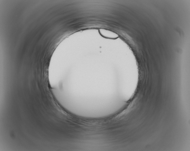 X0000112851369200910021243