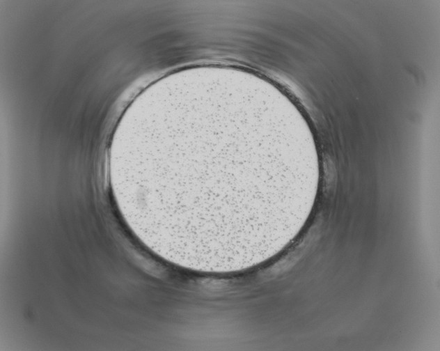 X0000112851371200910021243