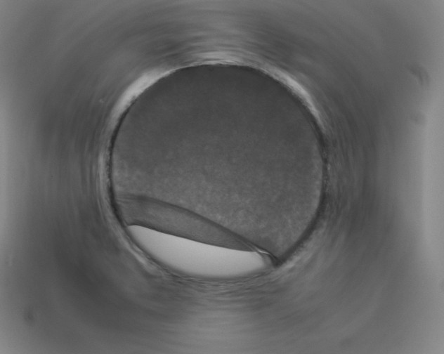 X0000112851373200910021243