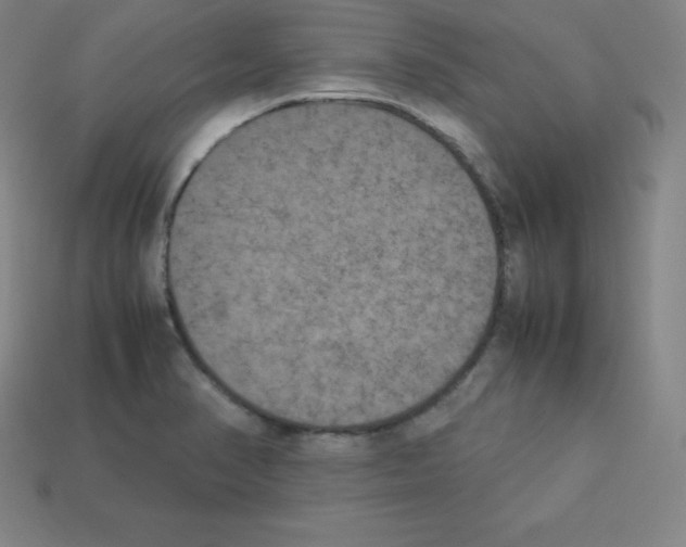 X0000112851374200910021243