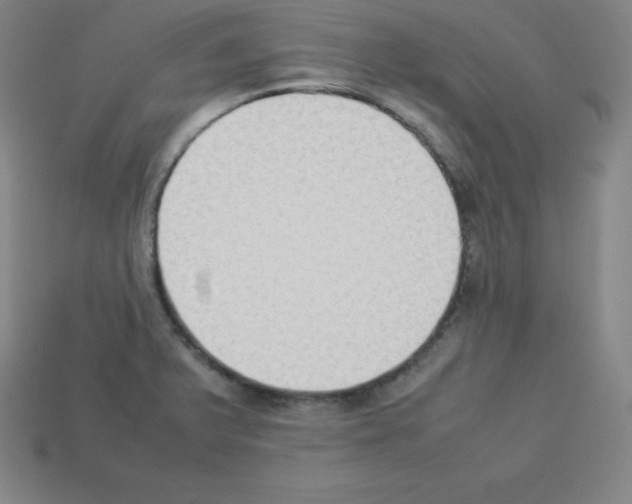 X0000112851375200910021243