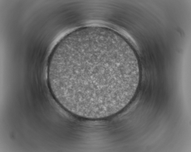 X0000112851376200910021243