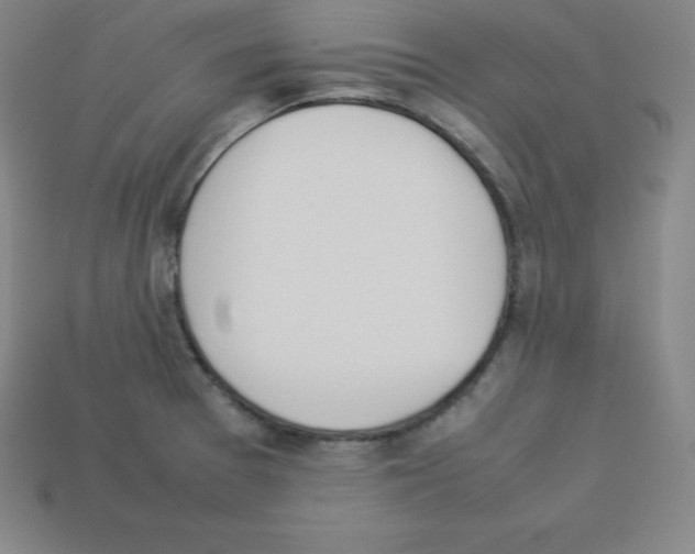 X0000112851377200910021243