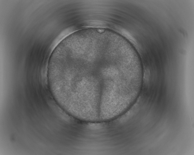 X0000112851378200910021243