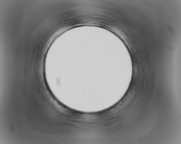 X0000112851379200910021243