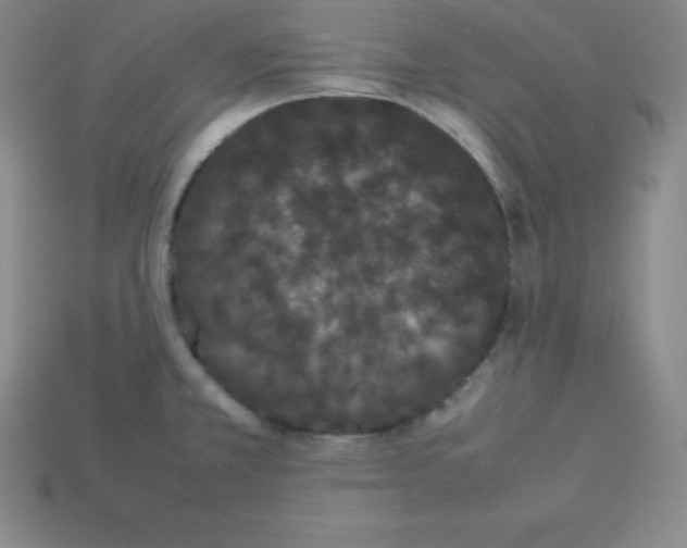 X0000112851381200910021242