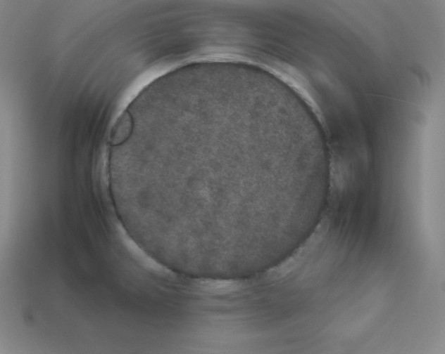 X0000112851382200910021242