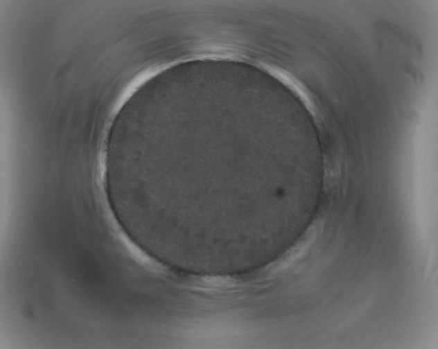 X0000112851383200910021242