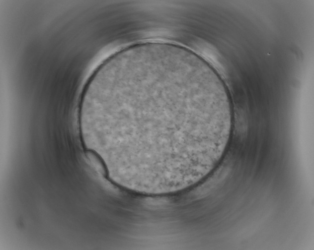 X0000112851384200910021242