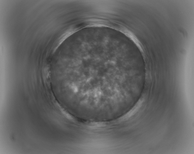 X0000112851385200910021242