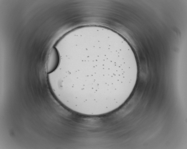 X0000112851388200910021242