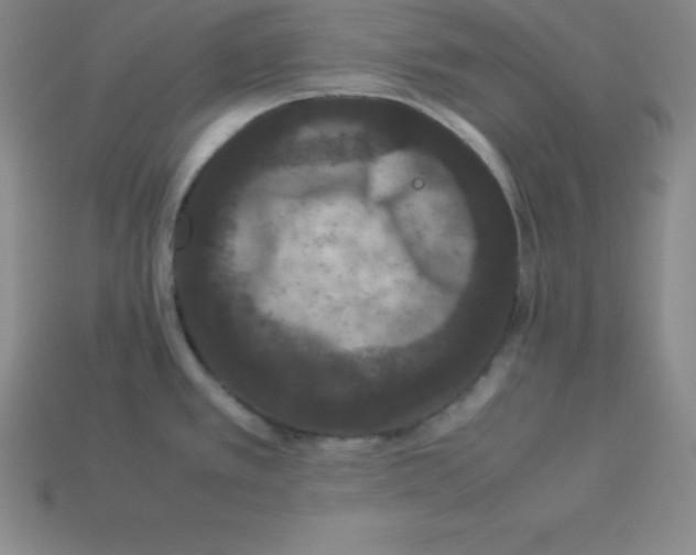 X0000112851389200910021242