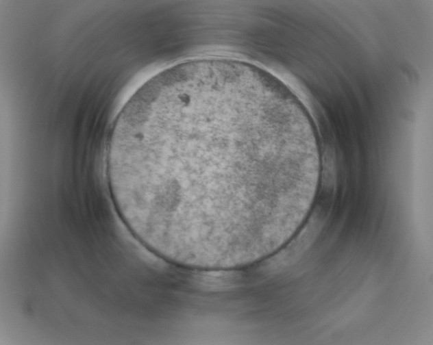 X0000112851390200910021242