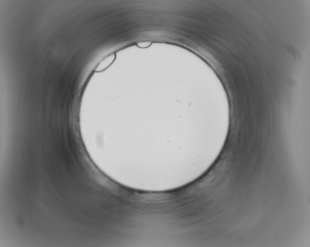 X0000112851392200910021242