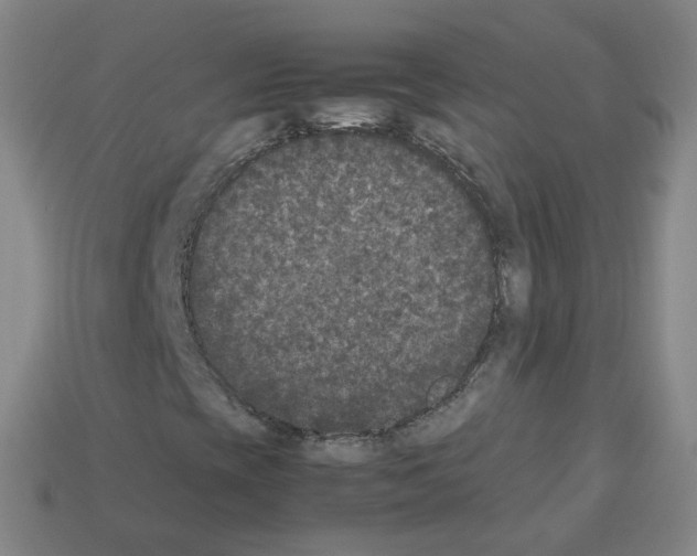 X0000112851393200910021242