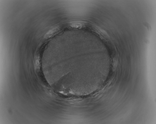 X0000112851394200910021242