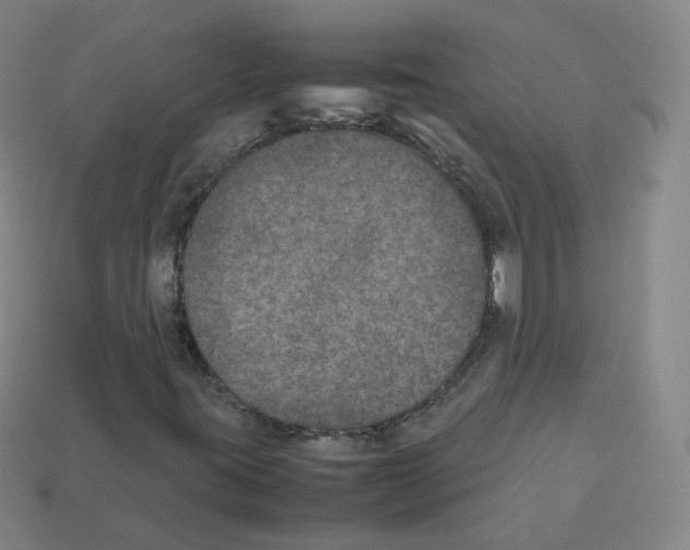 X0000112851395200910021242