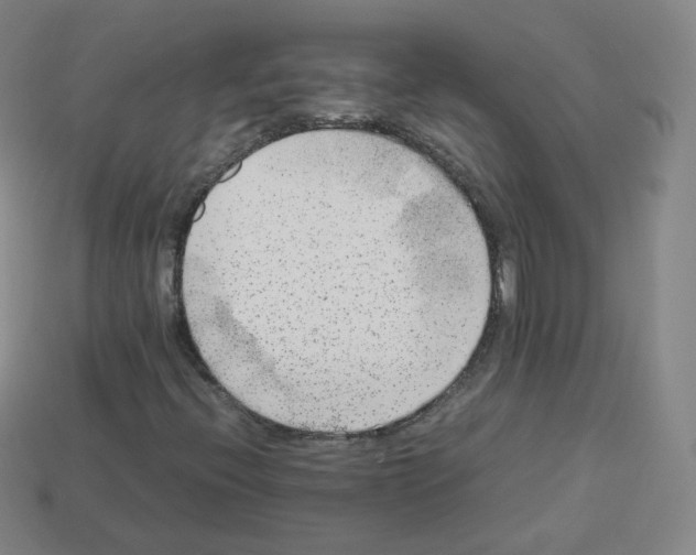 X0000112851396200910021242