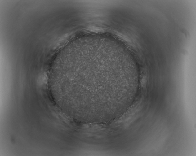 X0000112851397200910021242