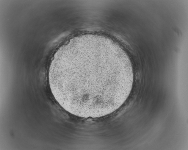 X0000112851398200910021242