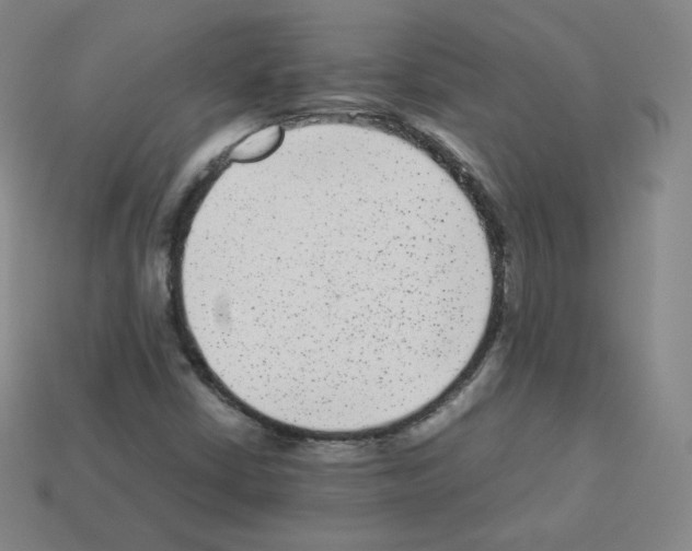 X0000112851402200910021242