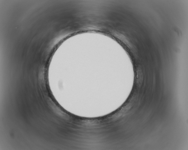 X0000112851404200910021242