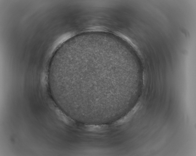 X0000112851405200910021242