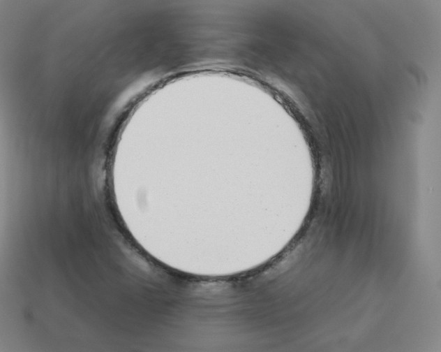 X0000112851406200910021242