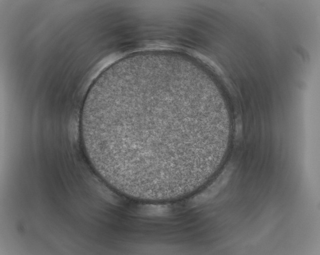 X0000112851409200910021242