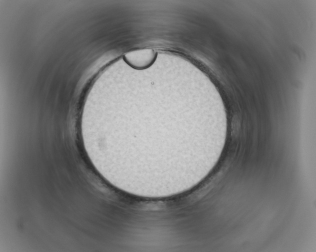 X0000112851410200910021242