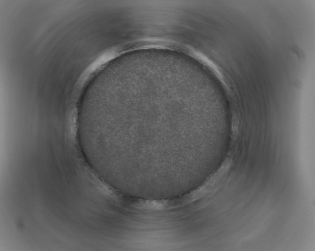 X0000112851411200910021242