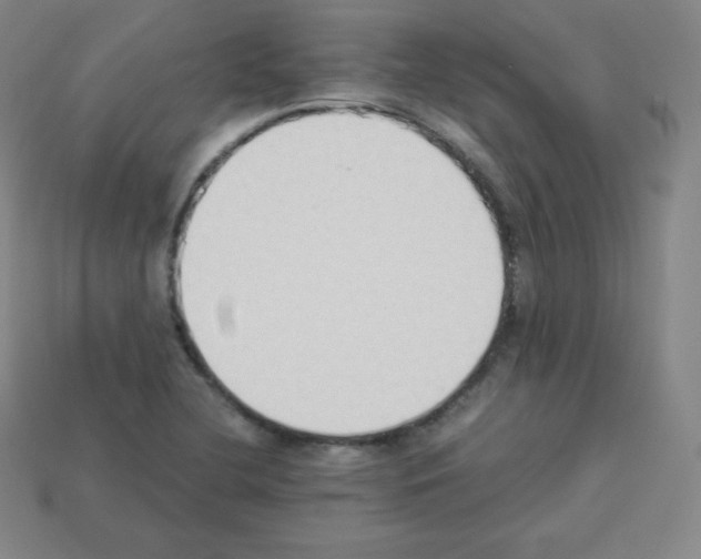 X0000112851412200910021242