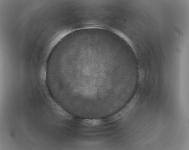 X0000112851415200910021242