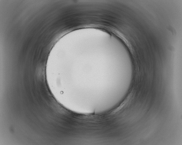 X0000112851417200910021242