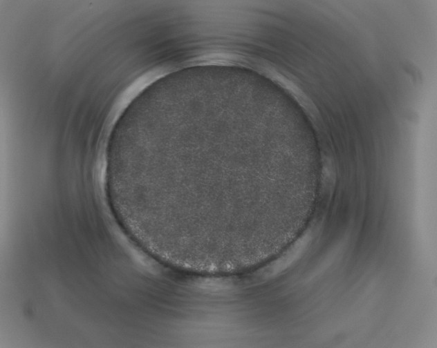 X0000112851418200910021242