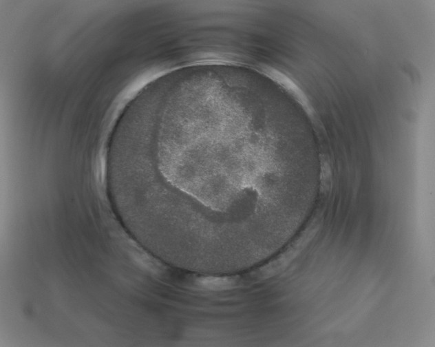 X0000112851419200910021242