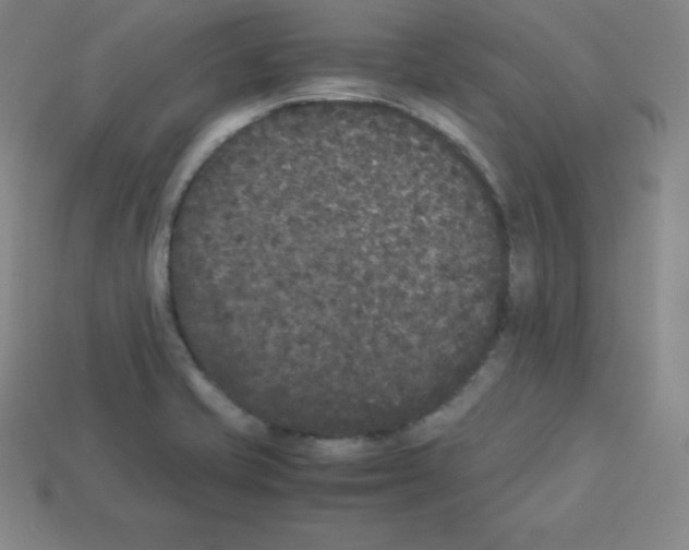 X0000112851421200910021242