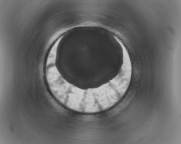 X0000112851422200910021242